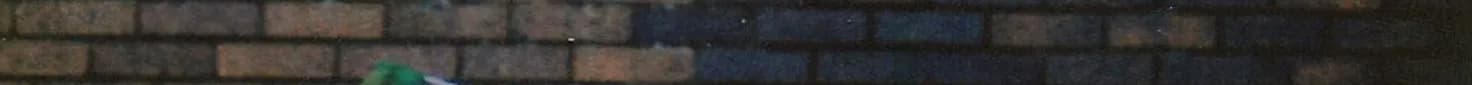 178.jpg