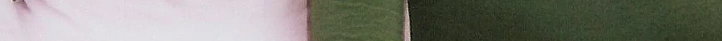 243.jpg