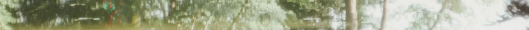 60.jpg