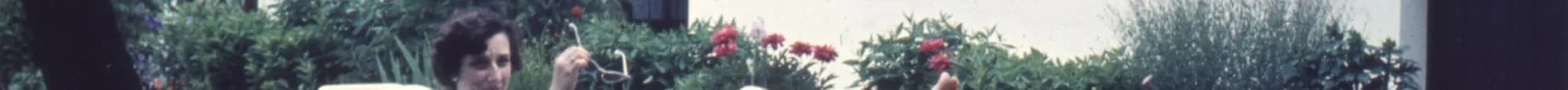 62.jpg